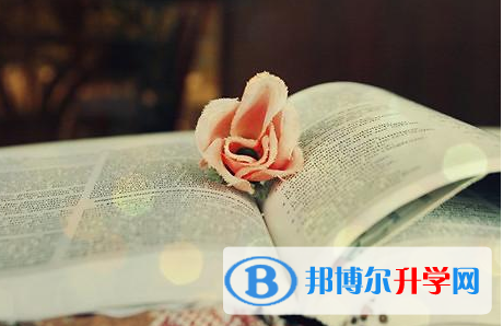 成都2021年中考志愿填報(bào)技巧