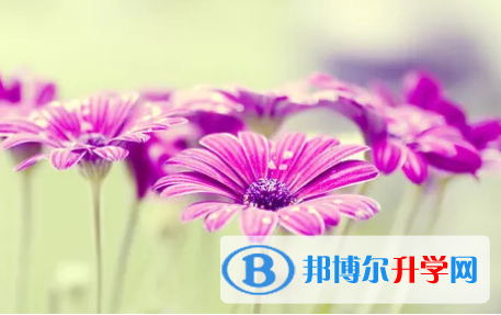 四川2021年中考報(bào)名網(wǎng)