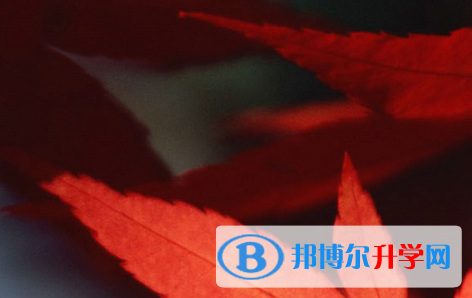 四川2021年中考報(bào)名網(wǎng)站