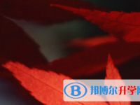 四川2021年中考報(bào)名網(wǎng)站