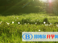 四川2021年中考錄取報(bào)名網(wǎng)