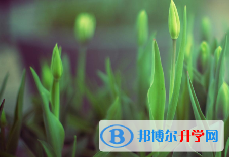 四川2021年中考報(bào)名網(wǎng)站登錄