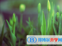 四川2021年中考報(bào)名網(wǎng)站登錄