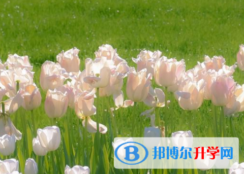 四川2021年中考報名系統(tǒng)網(wǎng)址