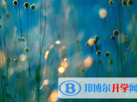 自貢2021年怎樣從網(wǎng)上查詢中考成績