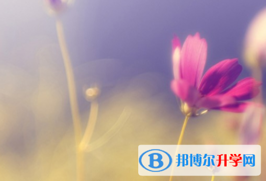 自貢2021年中考報(bào)考指南