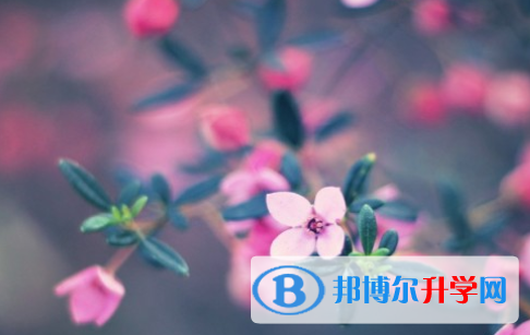 自貢2021年中考報(bào)名網(wǎng)站