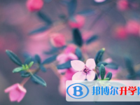 自貢2021年中考報(bào)名網(wǎng)站