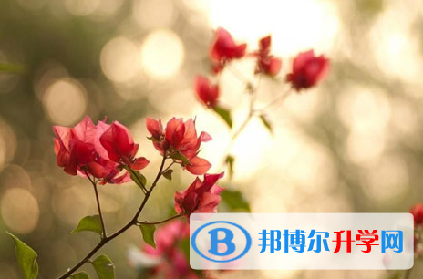 自貢2021年中考錄取報(bào)名網(wǎng)