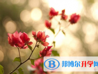 自貢2021年中考錄取報(bào)名網(wǎng)