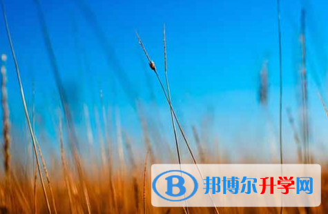 自貢2021年中考網(wǎng)上報(bào)考信息平臺(tái)