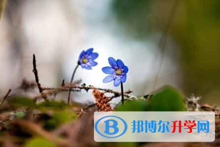 自貢2021年中考網(wǎng)上報(bào)名系統(tǒng)