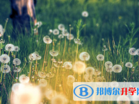 自貢2021年中考有不有補(bǔ)錄