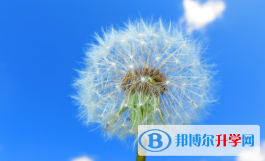 自貢2021年中考報(bào)名自薦信怎么寫