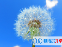 自貢2021年中考報(bào)名自薦信怎么寫(xiě)