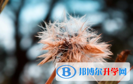 自貢2021年如果中考沒(méi)考上讀什么好