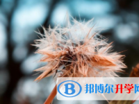 自貢2021年如果中考沒(méi)考上讀什么好