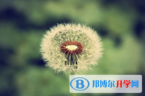 自貢2021年孩子中考家長(zhǎng)怎么做