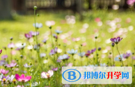 攀枝花2021年中考報(bào)名網(wǎng)站