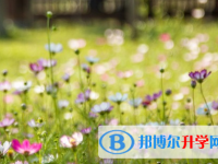 攀枝花2021年中考報(bào)名網(wǎng)站