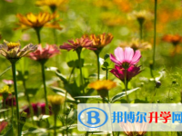 攀枝花2021年中考報(bào)名系統(tǒng)