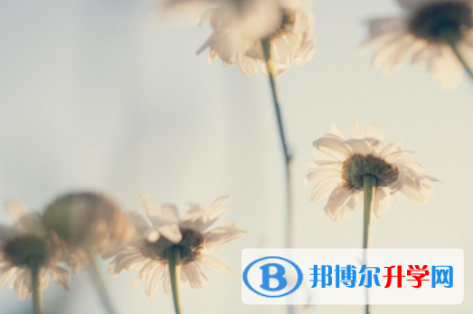 攀枝花2021年中考報(bào)名需要帶什么