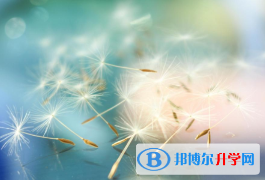 攀枝花2021年中考報(bào)志愿時(shí)間