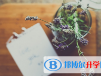 攀枝花2021年中考網(wǎng)上報(bào)考信息平臺(tái)