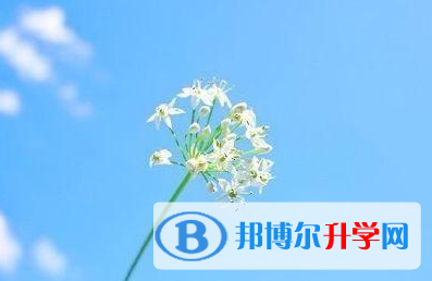 攀枝花2021年中考網(wǎng)上報名模擬