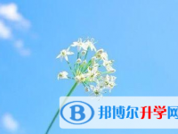 攀枝花2021年中考網(wǎng)上報(bào)名模擬