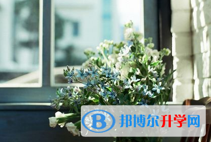 攀枝花2021年中考網(wǎng)上報(bào)名系統(tǒng)