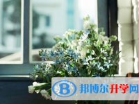 攀枝花2021年中考網(wǎng)上報(bào)名系統(tǒng)