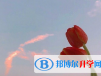 攀枝花2021年中考招生網(wǎng)絡(luò)應(yīng)用服務(wù)平臺(tái)