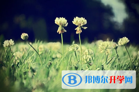 攀枝花2021年中考志愿官網(wǎng)