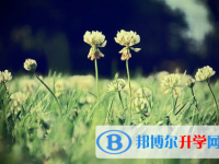 攀枝花2021年中考志愿官網(wǎng)