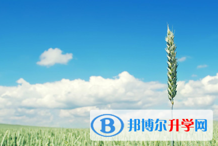 攀枝花2021年中考報(bào)名