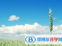 攀枝花2021年中考報(bào)名