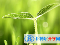 攀枝花2021年中考報(bào)名服務(wù)平臺(tái)