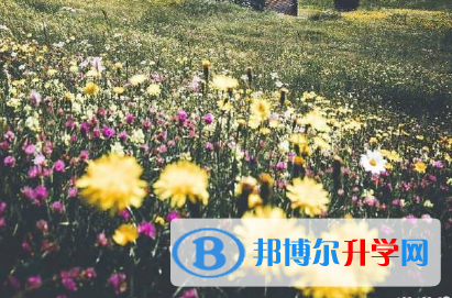 攀枝花2021年中考有不有補(bǔ)錄