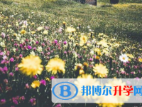 攀枝花2021年中考有不有補(bǔ)錄