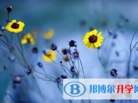 攀枝花2021年中考沒(méi)考好可以復(fù)讀嗎