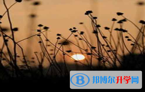 攀枝花2021年還有一天中考怎么辦