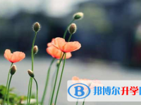 攀枝花2021年好多號(hào)中考