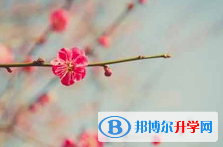 攀枝花2021年中考報名是哪個網(wǎng)站