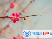 攀枝花2021年中考報(bào)名是哪個(gè)網(wǎng)站