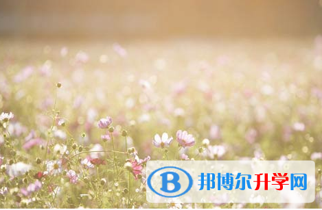 攀枝花2021年中考報(bào)名網(wǎng)站登錄