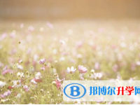 攀枝花2021年中考報(bào)名網(wǎng)站登錄