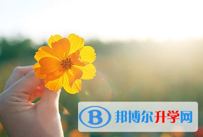 攀枝花2021年中考網(wǎng)絡(luò)應(yīng)用服務(wù)平臺登錄