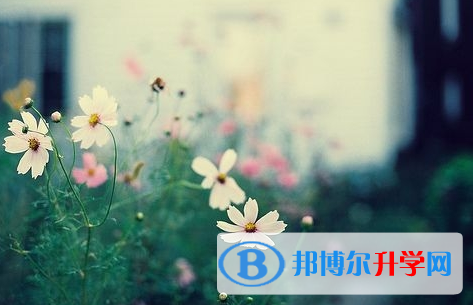 攀枝花2021年中考志愿怎么填