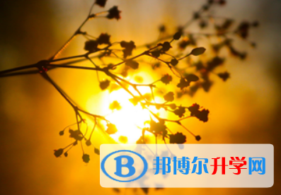 瀘州2021年中考報(bào)名網(wǎng)